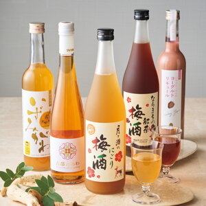 奈良フルーツワイン＆リキュール5本セット