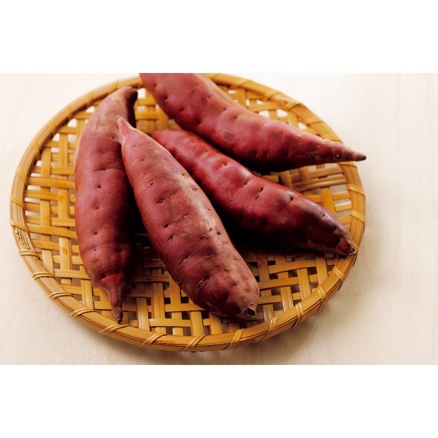 「JA金沢市」五郎島金時